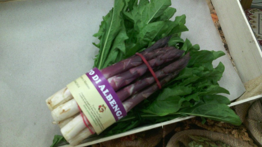 asparago violetto di Albenga presidio Slow Food