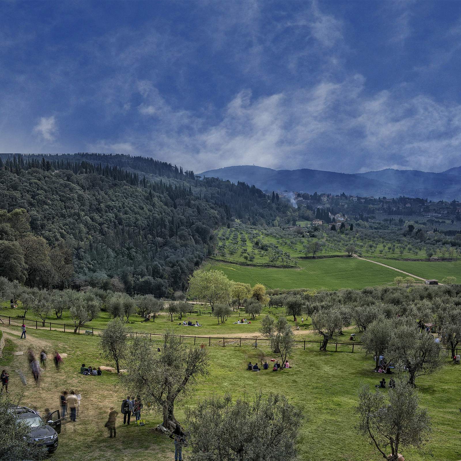 oliveti toscani panorama
