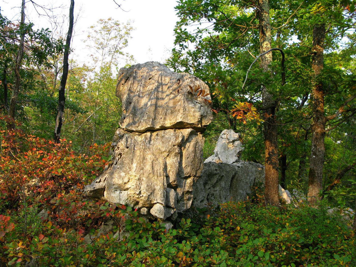 roccia del carso Curiosi di natura
