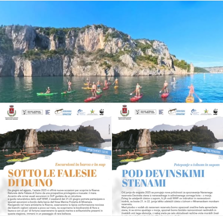 Escursione gratuita in Sup 