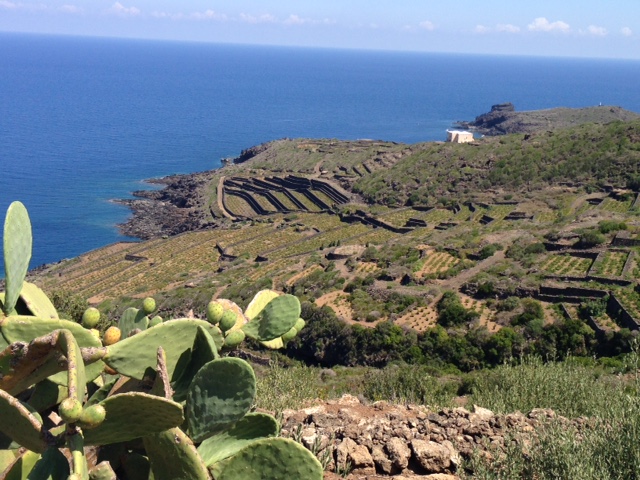 Scorcio dell'isola di Pantelleria, foto Antonio Lodedo