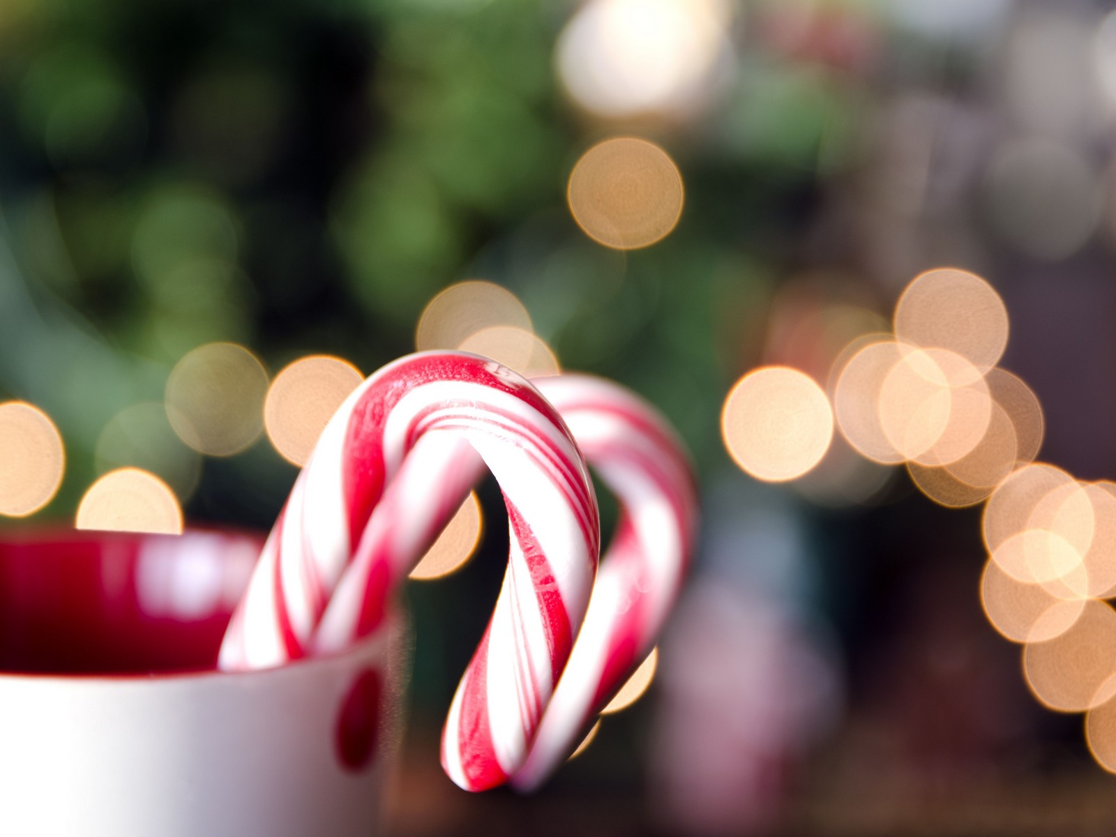 candy canes and christmas lights by the spruce eats