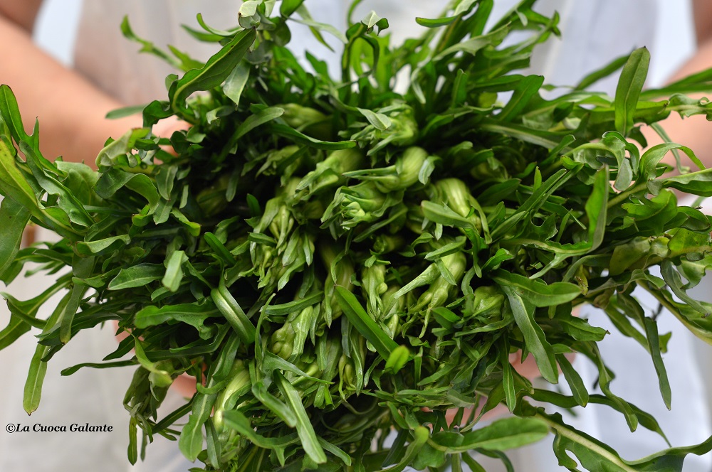 Puntarelle (Cicoria Catalogna)