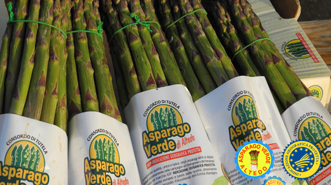 Asparago Verde di Altedo - Qualivita