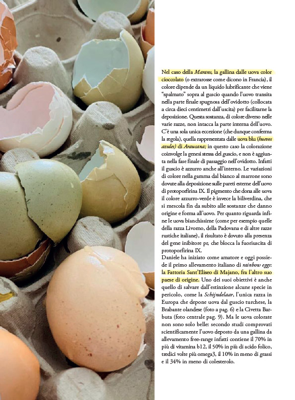 pagina del mensile qbquantobasta di maggio 2020