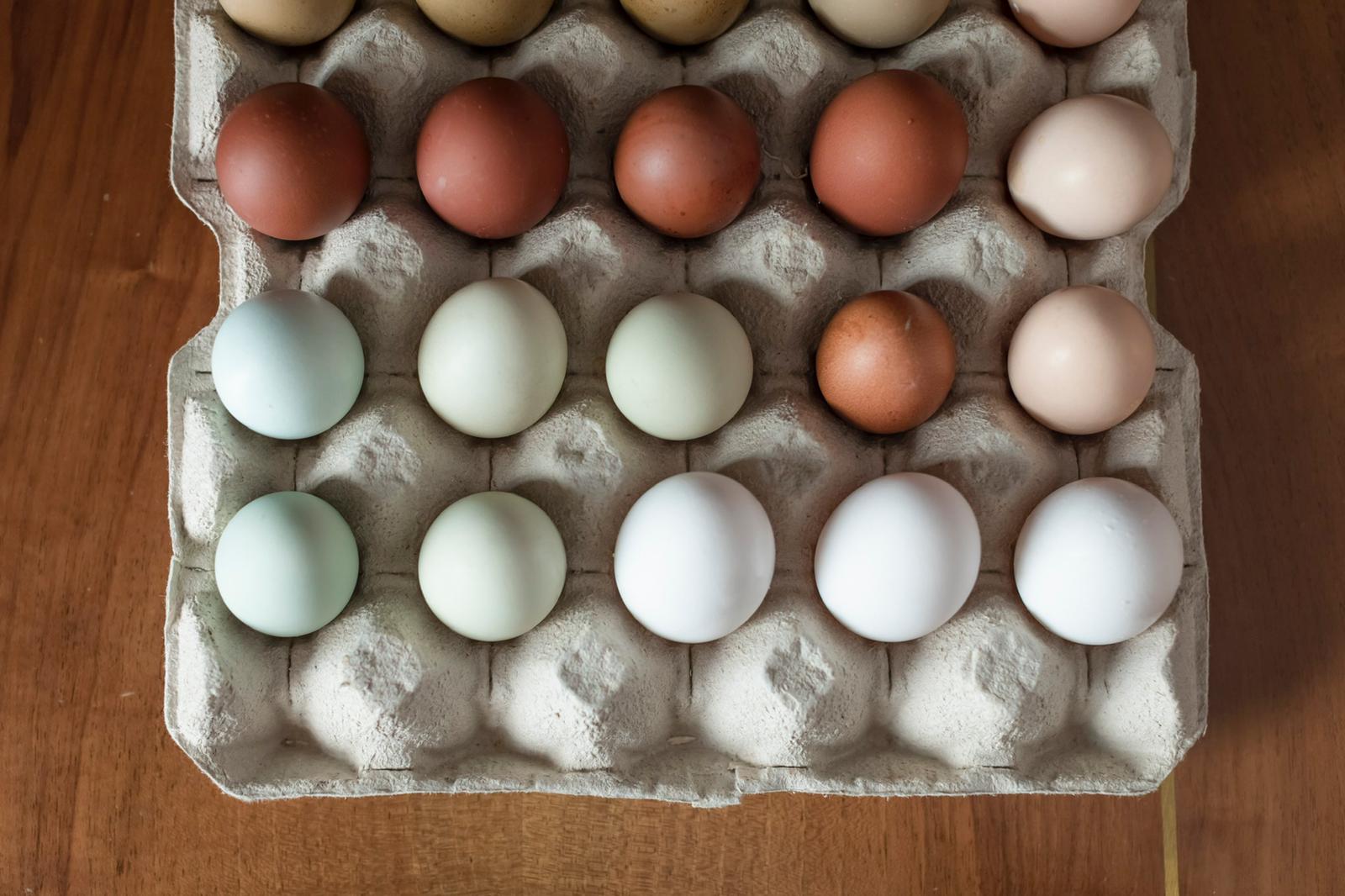 Rainbow Eggs