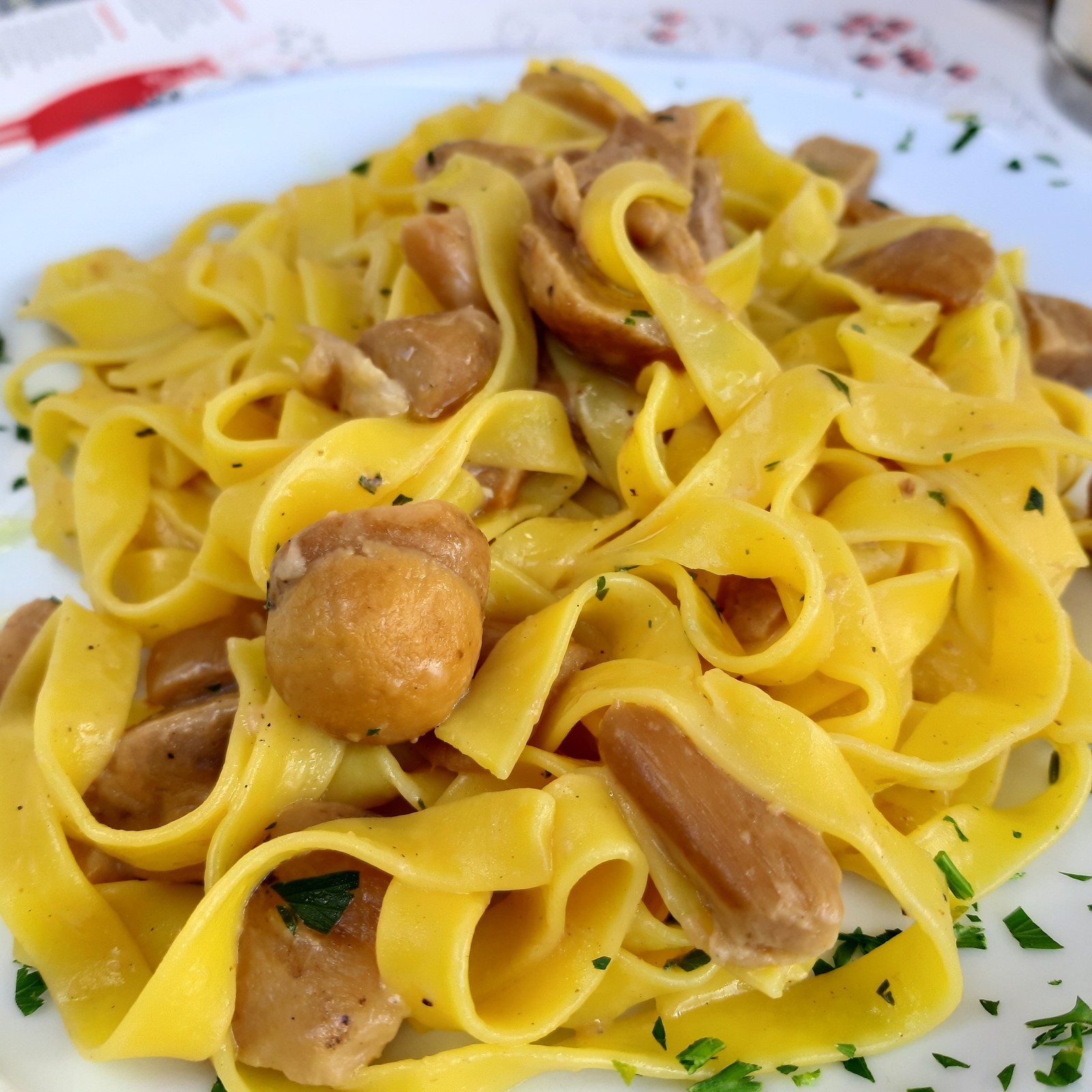 tagliatelle con porcini