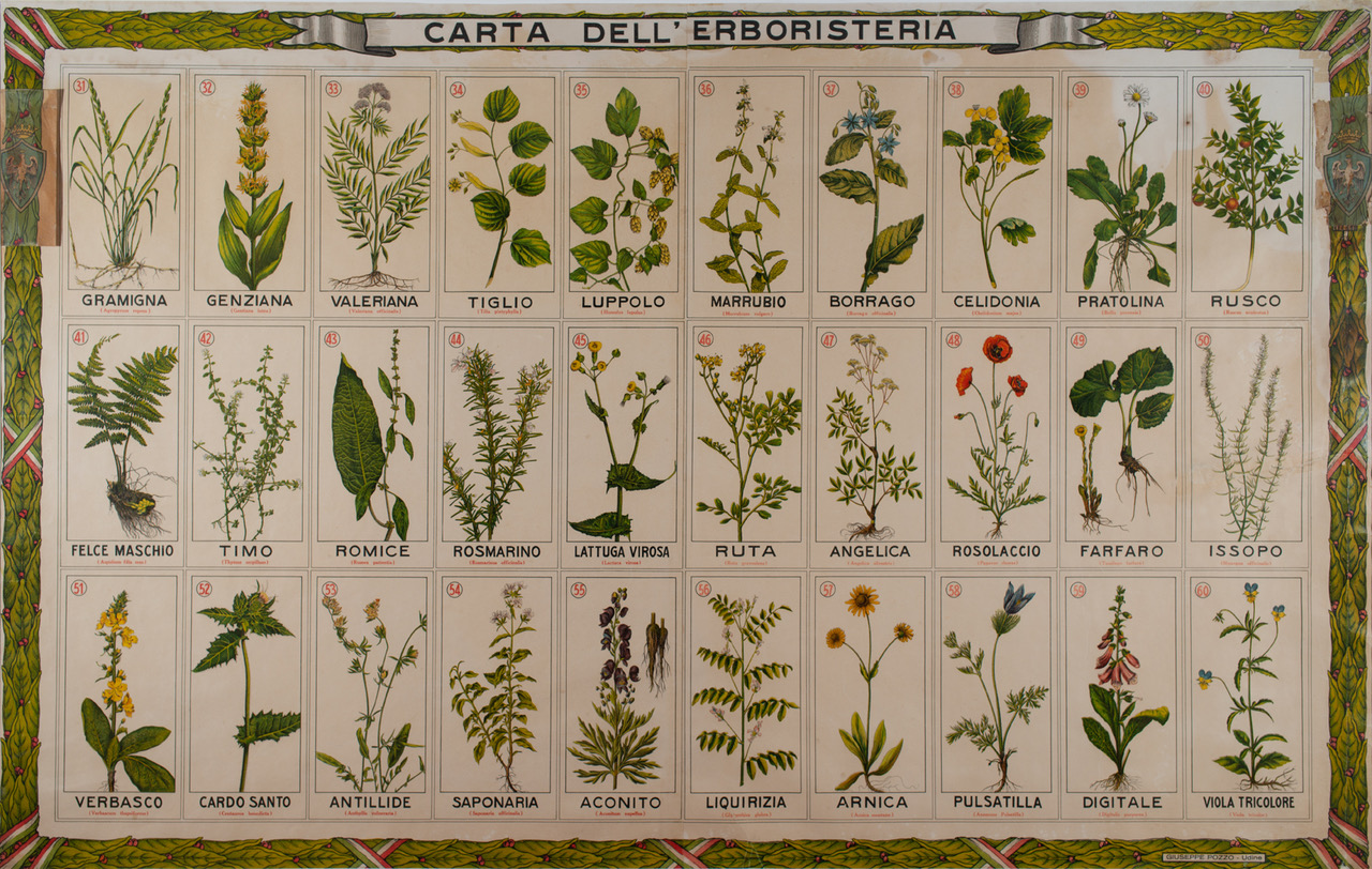 Carta dell'erboristeria ERSA FVG