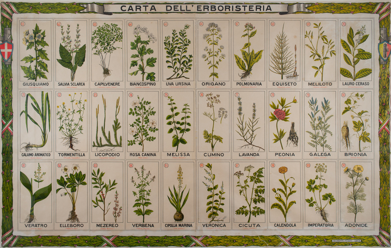 Carta dell'erboristeria
