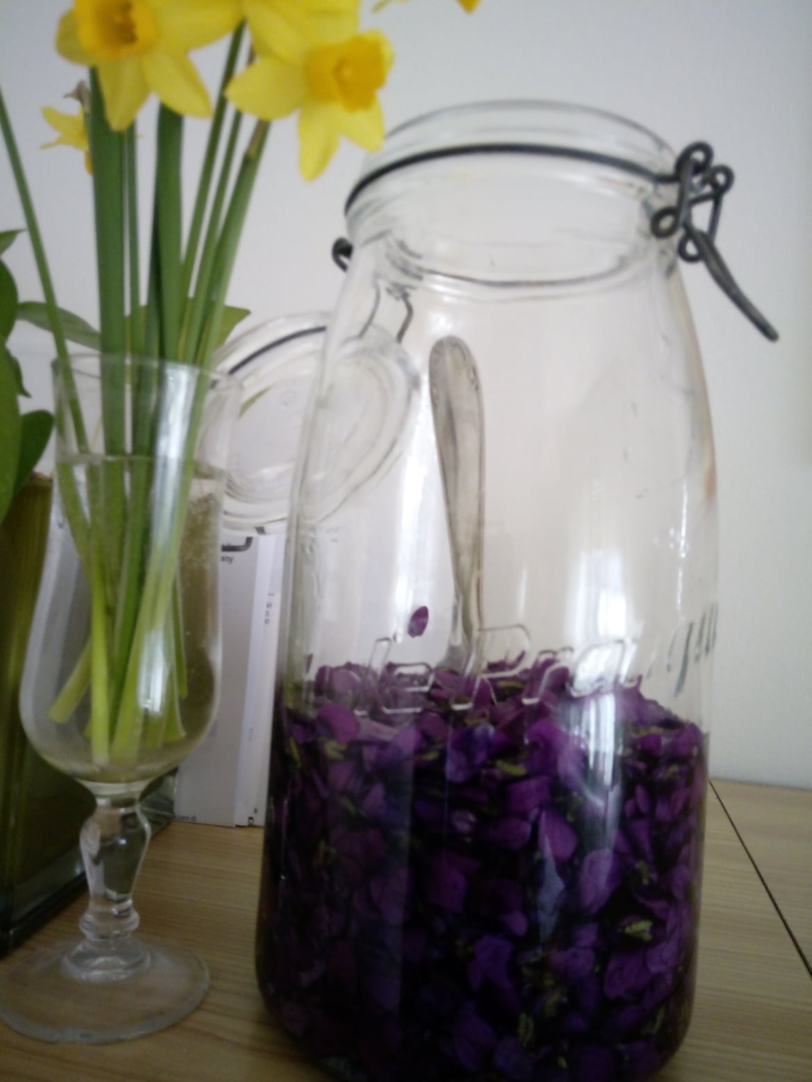 viole mammole in infusione