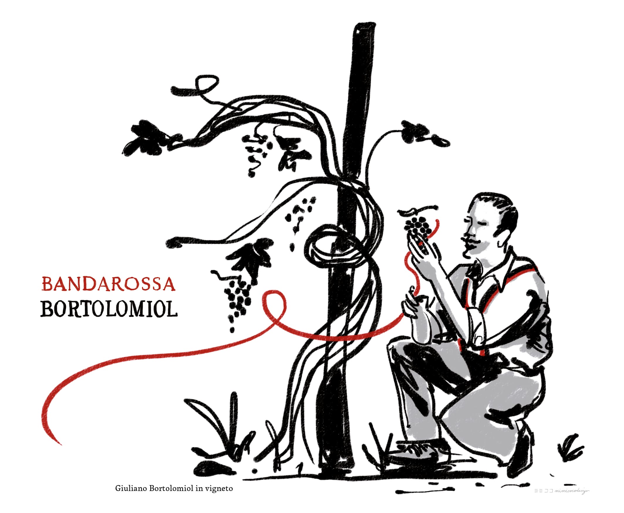 Giuliano Bortolomiol in vigneto