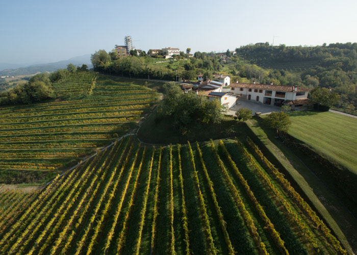 pascolo