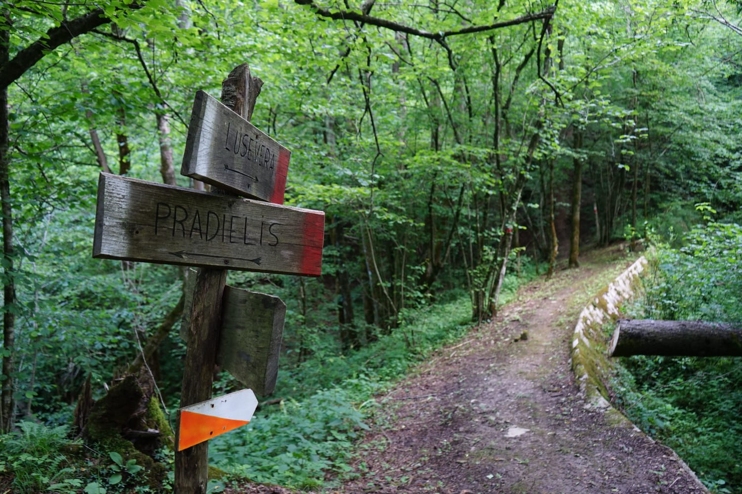 wild routes michele germano