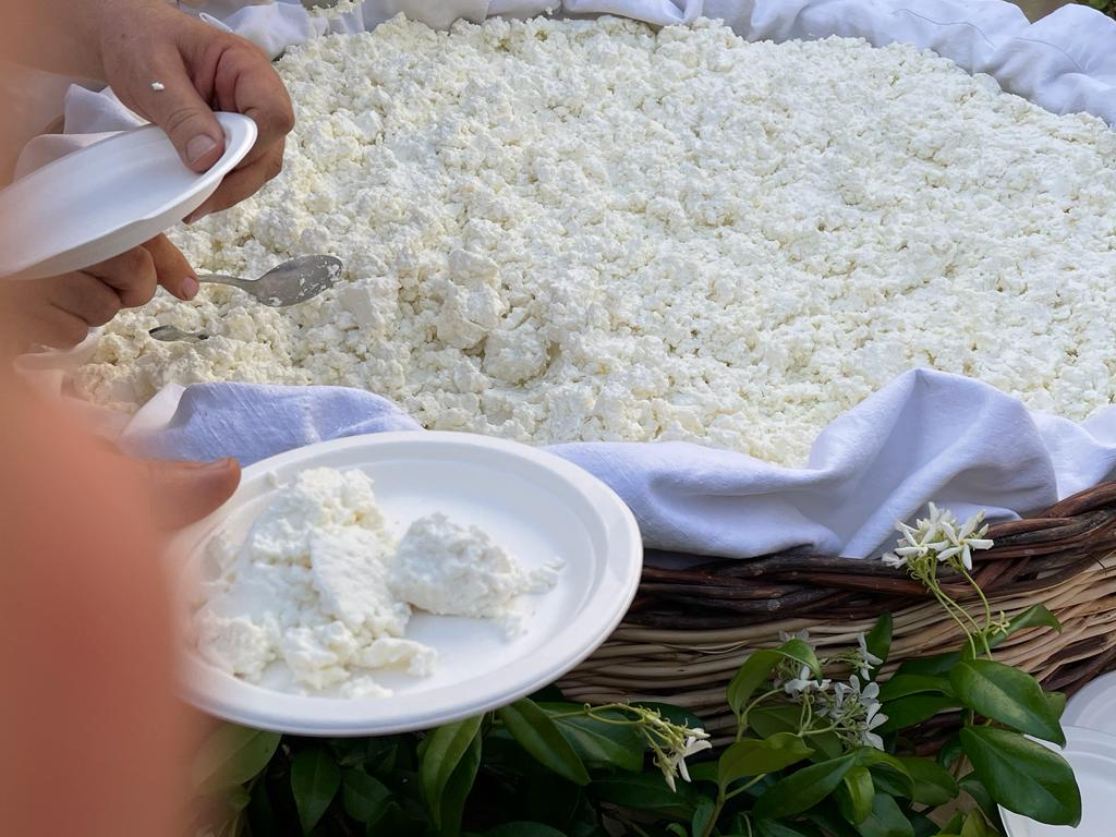 ricotta salata Vallo di Nera