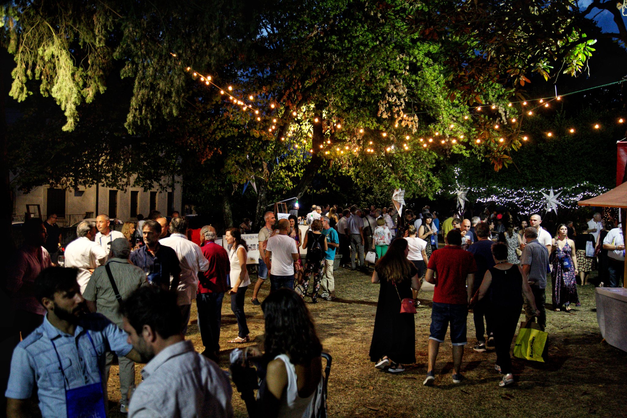 Pubblico Calici di Stelle 2022 in Villa Pitotti 