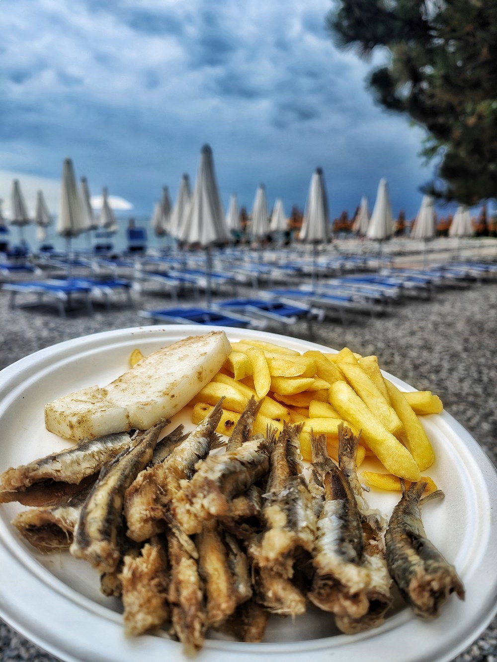 sardoni castereggio