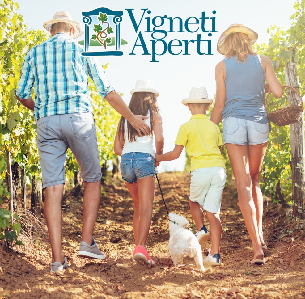 vigneti aperti