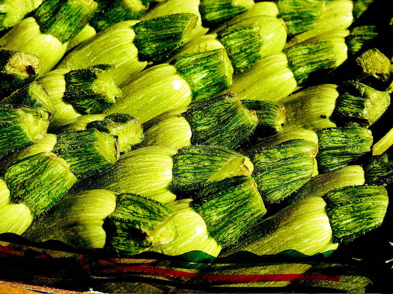 zucchine