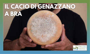 cacio di genazzano