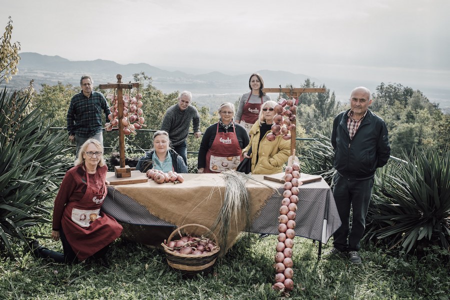 cipollari di Cavasso