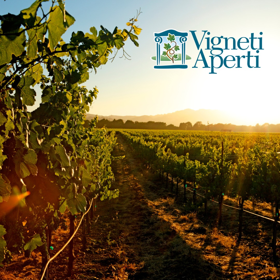 vigneti aperti