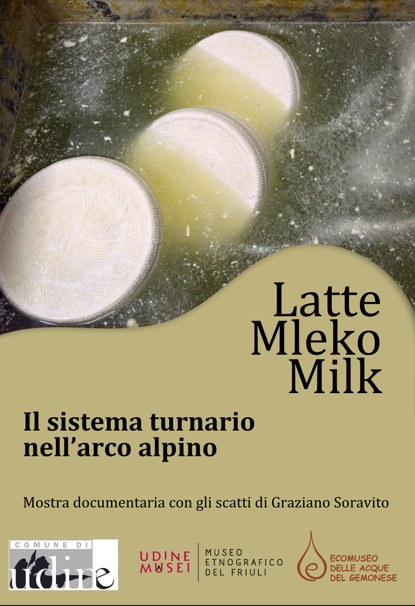 latte mleko milk