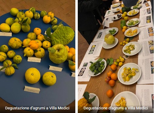 degustazioni a Villa Medici