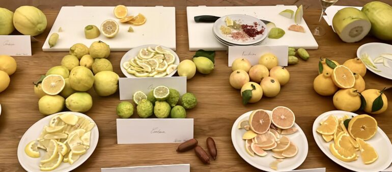 image diner des citrons