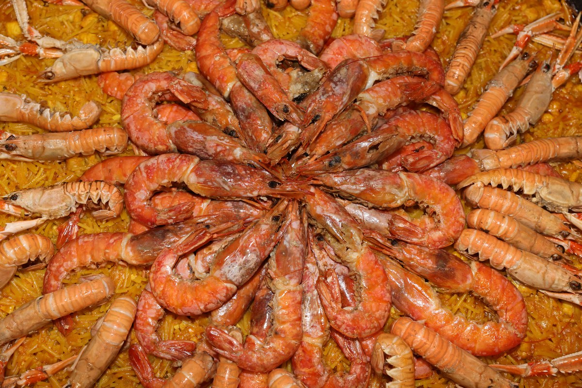 gamberi di Fano 