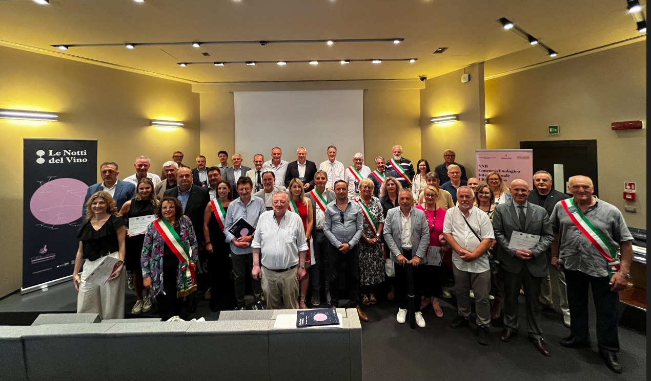 il gruppo dei sindaci vicesindaci amministratori locali 
