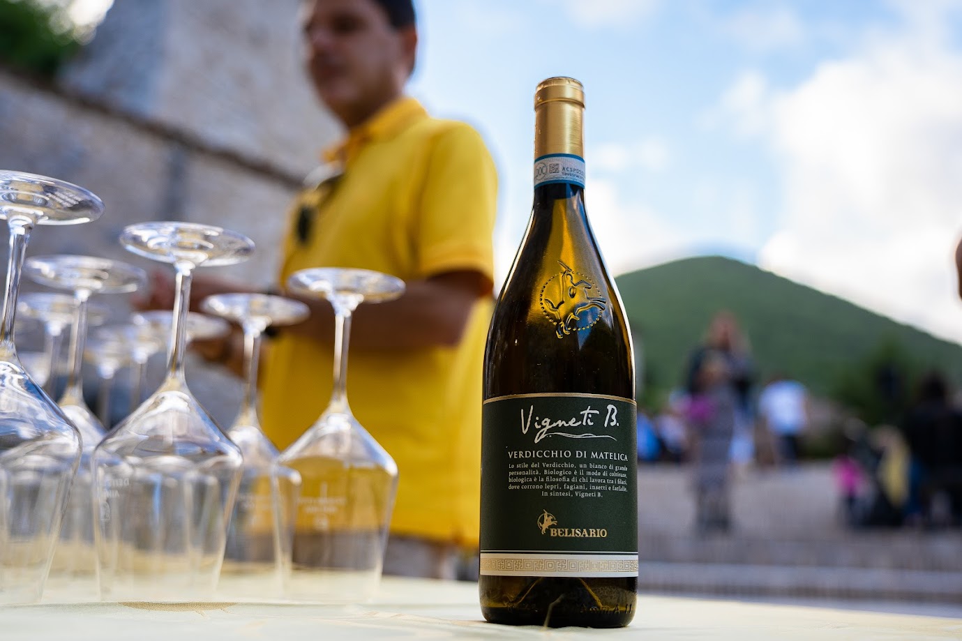 Verdicchio di Matelica