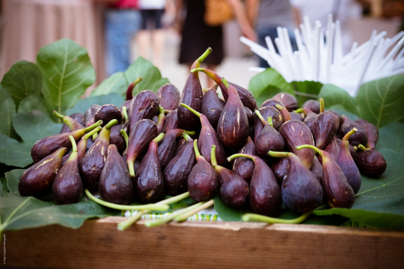 figomoro di Caneva