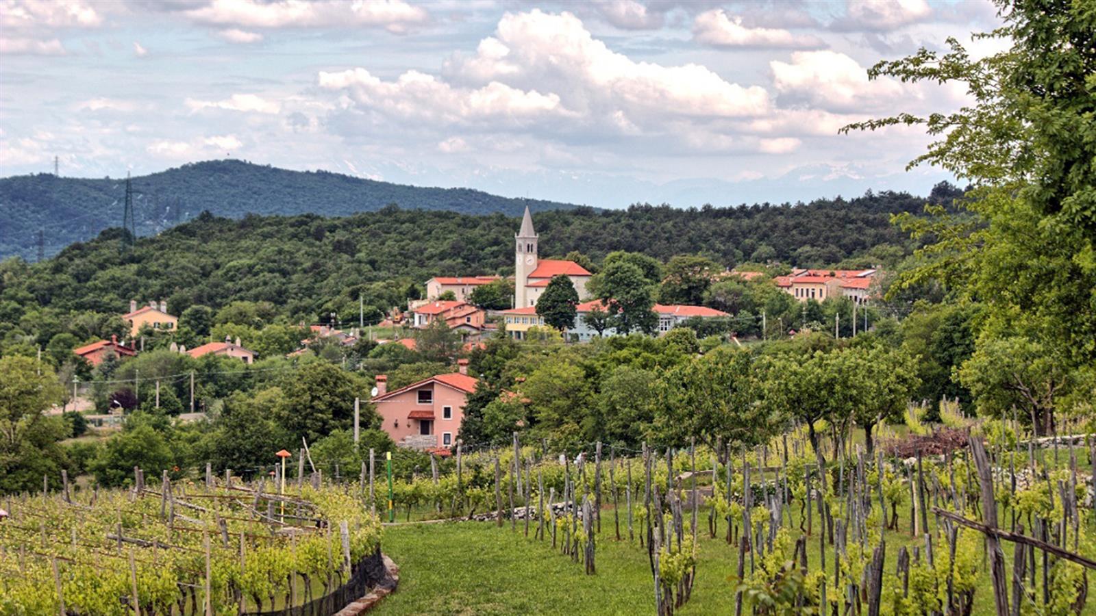 abitato di San Pelagio archivio promoturismofvg