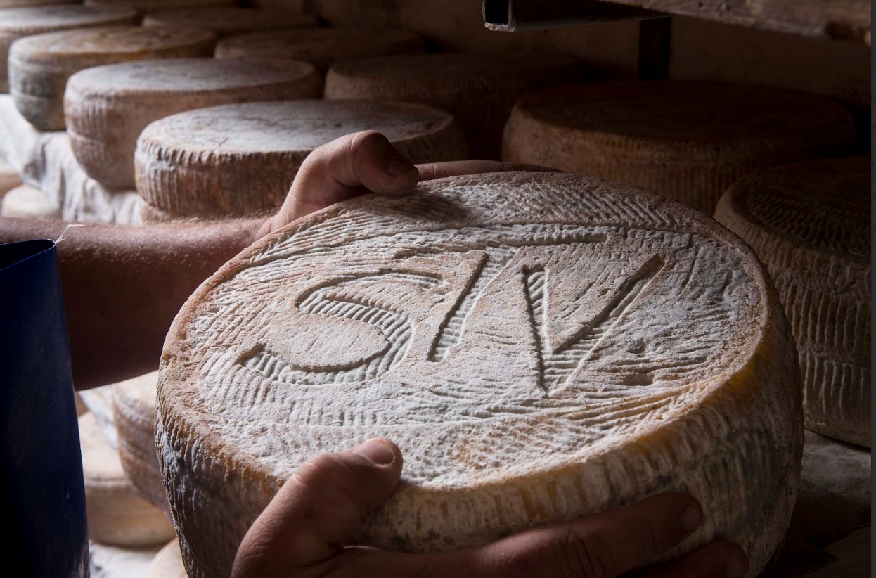 forma di taleggio