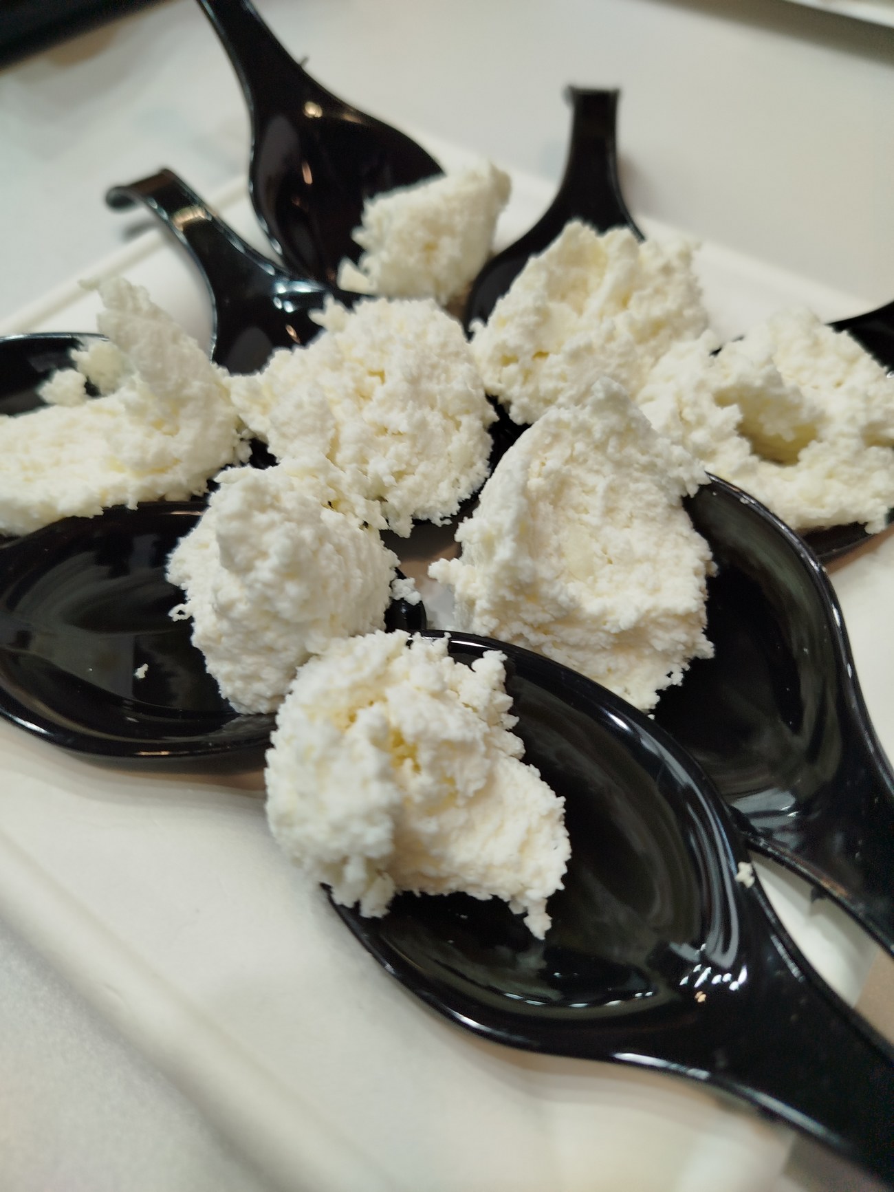 assaggi di ricotta del carso