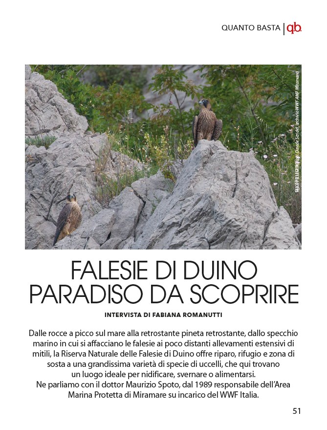 intervista su qubi di sprile