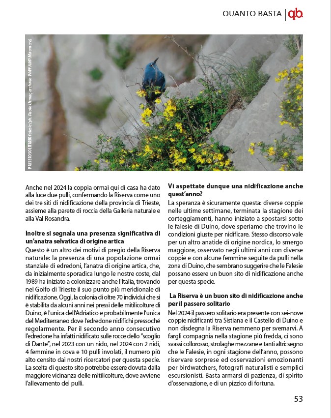 intervista a Maurizio spoto 