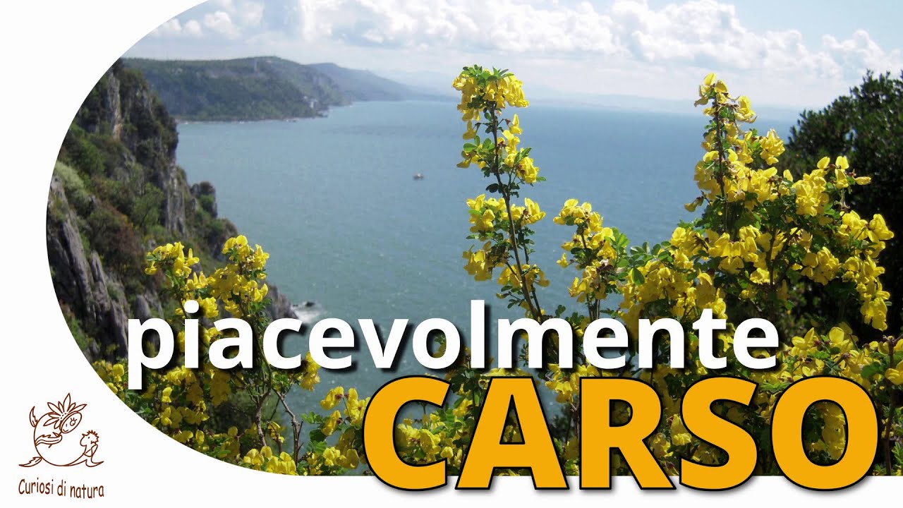 piacevolmente Carso