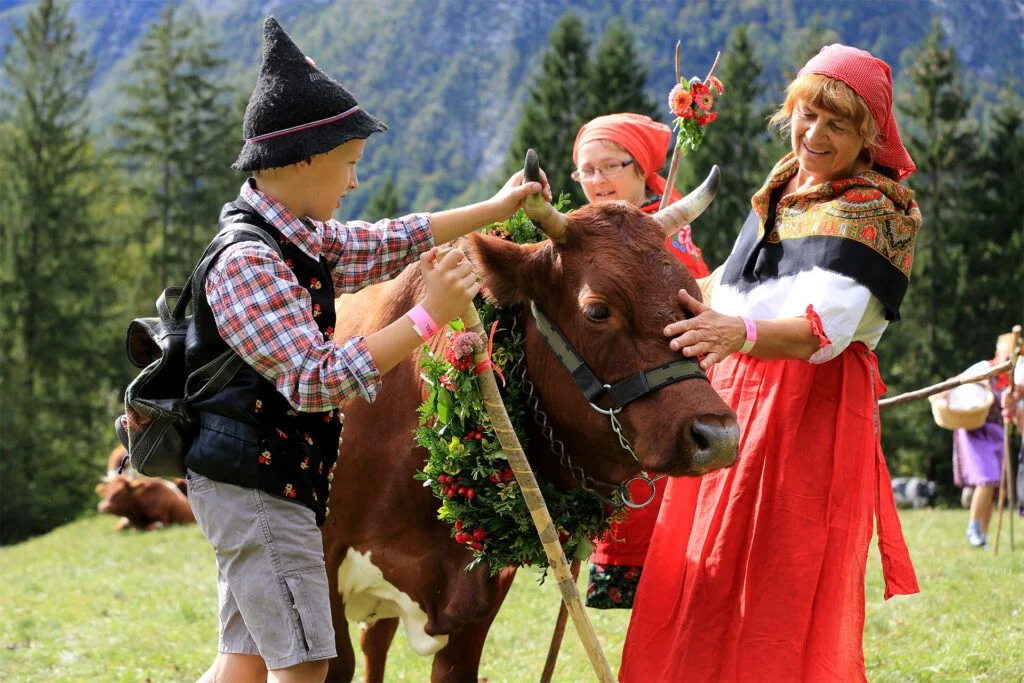 kravji bal 2015